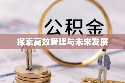 沙雅探索高效管理与未来发展