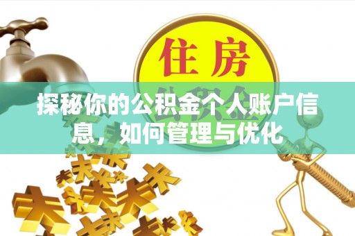 舟曲探秘你的公积金个人账户信息，如何管理与优化