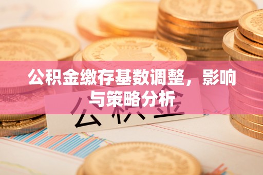 舟曲公积金缴存基数调整，影响与策略分析