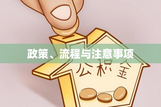 崇左政策、流程与注意事项