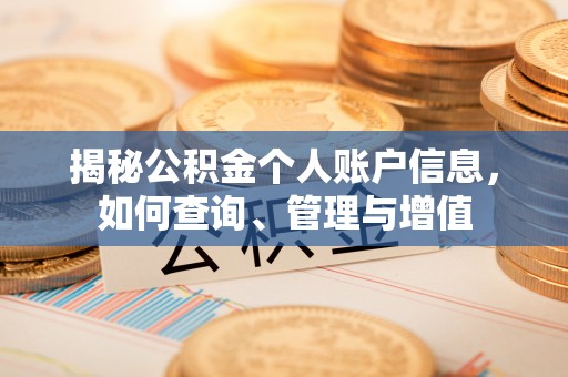 舟曲揭秘公积金个人账户信息，如何查询、管理与增值