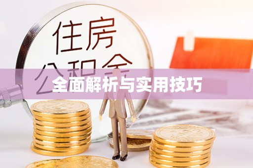 潍城全面解析与实用技巧