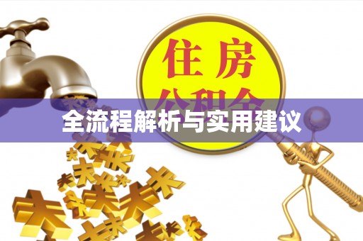 金东全流程解析与实用建议