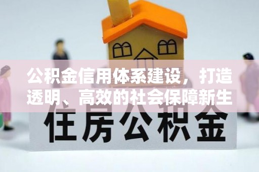 贡嘎公积金信用体系建设，打造透明、高效的社会保障新生态