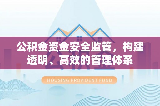 乐东公积金资金安全监管，构建透明、高效的管理体系