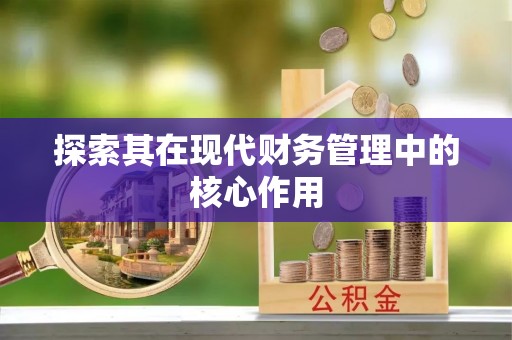 南州探索其在现代财务管理中的核心作用