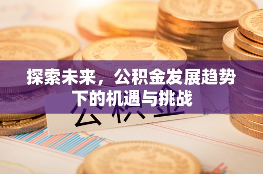 耒阳探索未来，公积金发展趋势下的机遇与挑战