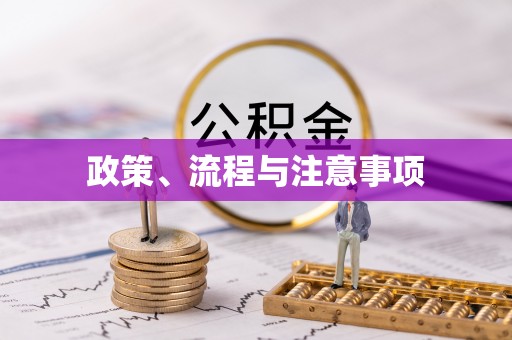 集美政策、流程与注意事项