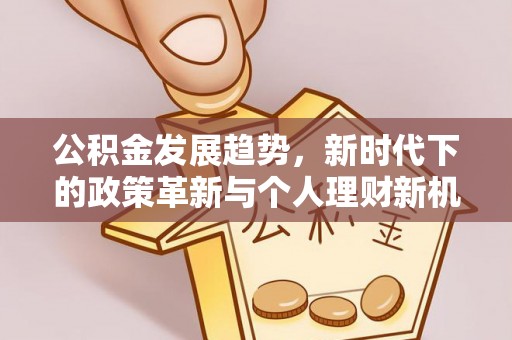 代缴公积金发展趋势，新时代下的政策革新与个人理财新机遇