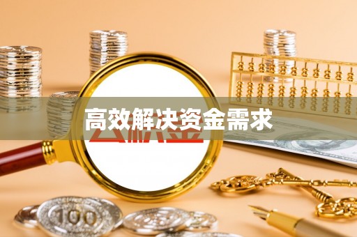 大新高效解决资金需求