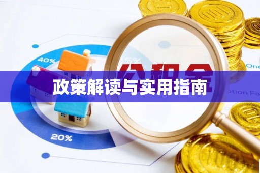 大新政策解读与实用指南