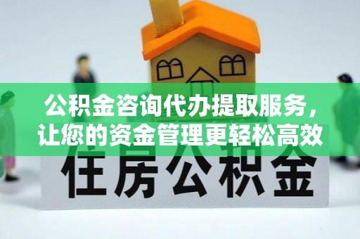 大新公积金咨询代办提取服务，让您的资金管理更轻松高效