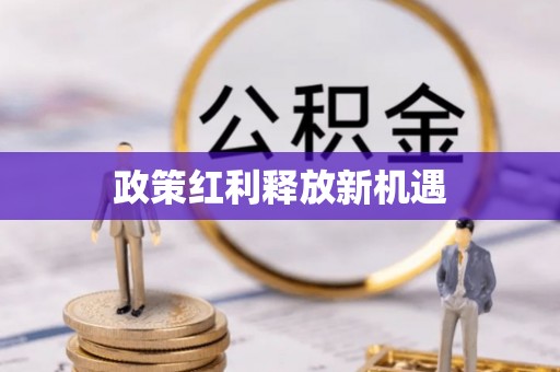 湛河政策红利释放新机遇