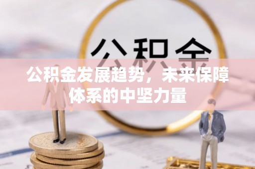 徐汇公积金发展趋势，未来保障体系的中坚力量