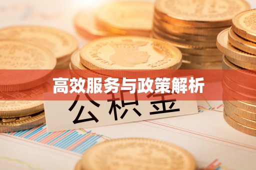 井研高效服务与政策解析