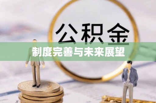 台州制度完善与未来展望