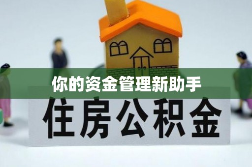 海林你的资金管理新助手