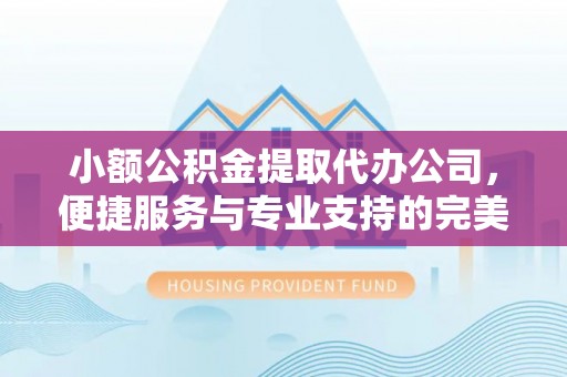 雨城小额公积金提取代办公司，便捷服务与专业支持的完美结合