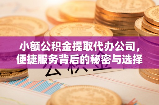 广德小额公积金提取代办公司，便捷服务背后的秘密与选择指南