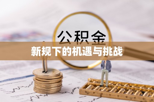广德新规下的机遇与挑战