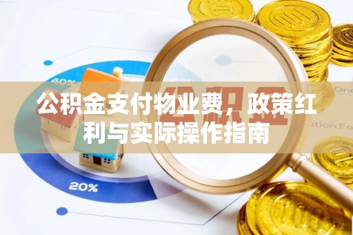 建宁公积金支付物业费，政策红利与实际操作指南