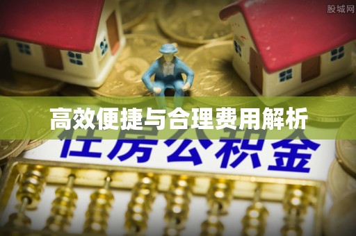 深泽高效便捷与合理费用解析