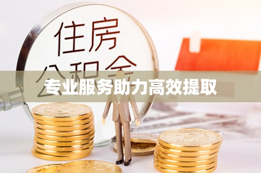 大通专业服务助力高效提取