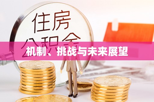 雨花台机制、挑战与未来展望