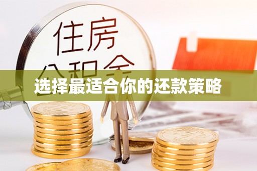 精河选择最适合你的还款策略