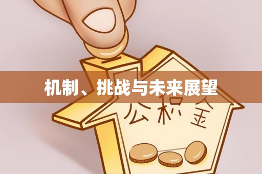 中正机制、挑战与未来展望